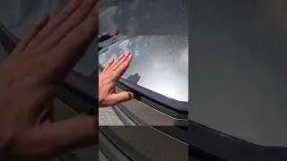 Якщо вас цікавить Cybertruck, ви також можете його замовити! #zvigerauto #доставкаавто #автозсша
