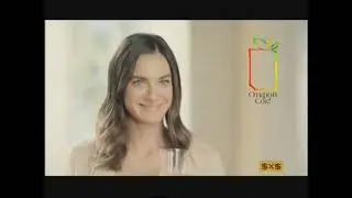 Анонс 