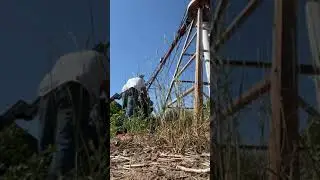 Farm life