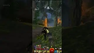The Ascension Grind Was Painful..