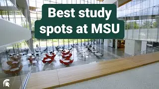 Best Study Spots at MSU