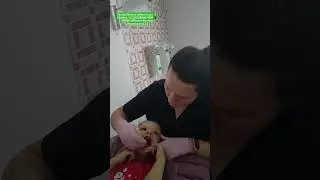 Логопедической массаж языка 🤗 Задача вытолкнуть ложку язычком 🤔 Тяжело.. Но с заданием справилась 💪