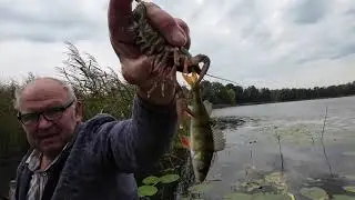 Rugsėjis prie ežero