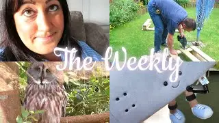 WEEKLY VLOG | SHED ORGANISATION | COPING WITH CFS | ZOO FUN!