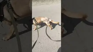 Реабилитация Корицы