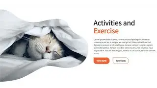 How To Create A Website Using HTML And CSS Step By Step Website Tutorial - Pet Website #3