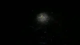 лягухи
