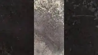 металлоискатель пират коп в поле на бум