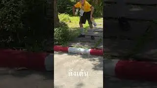 ลิงเต้นได้คับ