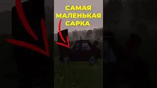 Самая маленькая сарка в DayZ 