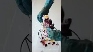 самый страшный квест в мире