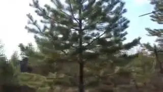 Осень 2009 Север Омской области. ч 1