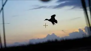 #54 Opening of duck and goose hunting 2019. How to aim at a duck or goose.