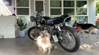 My Honda CB350f needs lot of work