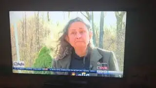 video 1554344447 1