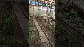 19 июня 2024 г.(1)