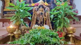 Srinivasa Swami Divya Darshanam