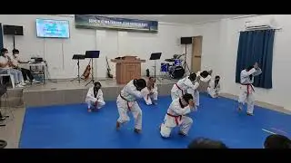 Baby Shark Fever Taekwondo Dance