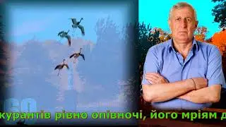 Роки як вас затримати