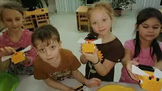 БАБОЧКИ И ПЧЕЛЫ