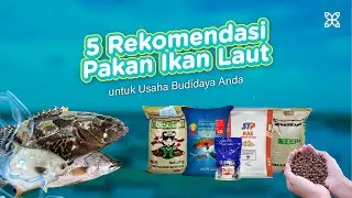 5 Rekomendasi Pakan Ikan Air Laut untuk Budidaya Anda