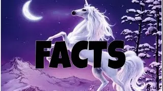 FACTS ABOUT UNICORNS - CAN YOU BELIEVE IT?!?!