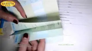 Как оформить современный новый паспорт на кошку или собаку