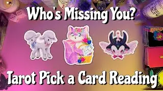 🥹Who's Missing You?🥹 Tarot Pick a Card Love Reading