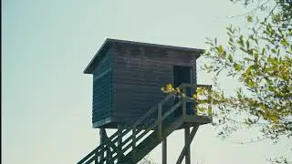 Simple But Pretty #50  (Sigma FP | Cinema DNG Raw | Canon EF 24-105 L)