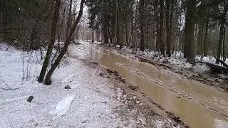 Дорога от киевского шоссе к поселку института Полиомиелита.