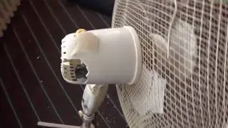My fan just decided to kill himself...