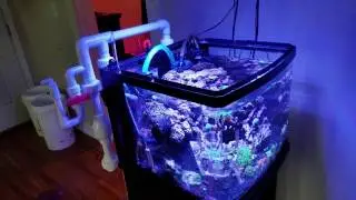 Biocube 29 Custom Sump Update: Active Tank Drilled (pt 4)