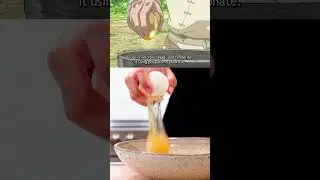 The REAL Dr. Stone Ramen!! 
