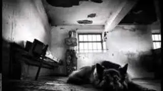 Simply Red -  Come To My Aid- Fotos Michael Kallender