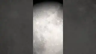 Across the full moon