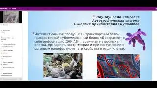 13.07.2021 Вебинар Наталья Дюдяева. Компания Dr.Nona