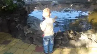 Максим в зоопарке