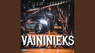 Vaininieks