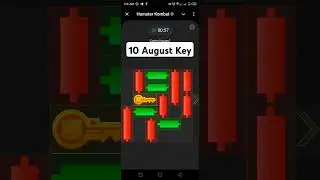 10 August key in Hamster Komnbat Mini Game puzzle resolved