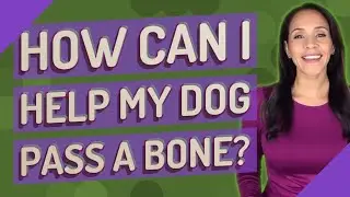 How can I help my dog pass a bone?