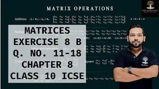 MATRICES EXERCISE 8 B Q. NO. 11-18 CHAPTER 8 CLASS 10 ICSE