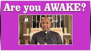 1st Sunday of Advent year A. Awake. Homily for 27 November 2022.
