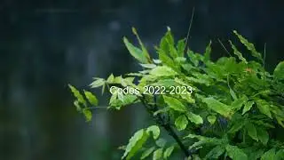 CODES 2022  | CÓDIGOS 2022 | КОДЫ 2022
