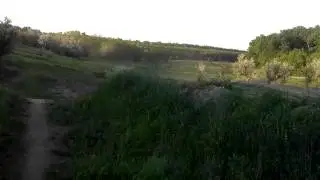 VIDEO0017