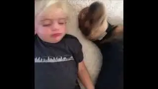 Тео и Бэо -- восхитительные фотографии, видео щенка и малыша.2