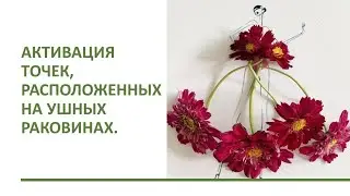 Активация  точек по Норбекову.