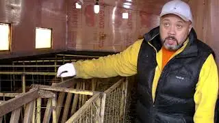 ПРОЕКТ-ОВЦЕВОДСТВО. Первая зимовка в собственных апартаментах.