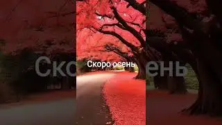 Моёхозяйство #automobile осень не за горами #car