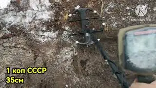 Intronik STF. Копейка советов на 35см на домовом пятне.