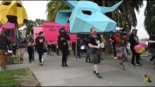 Animal rights protest in Dolores Park